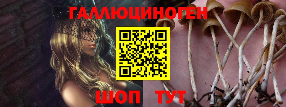 Галлюциногенные грибы мухоморы  Вход с VPN  Кимовск 